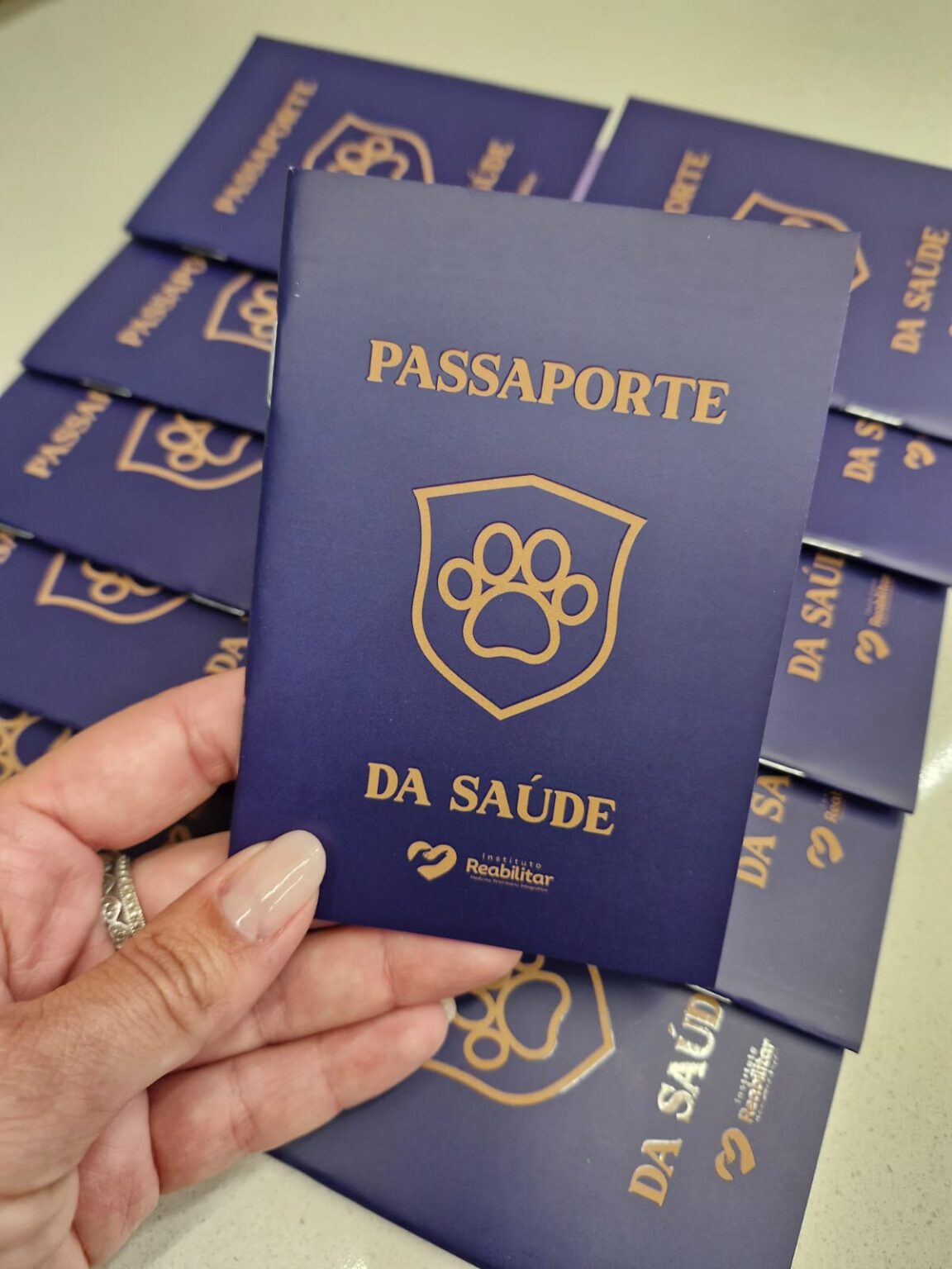 WhatsApp Image 2025-10-23 at 14.17.56