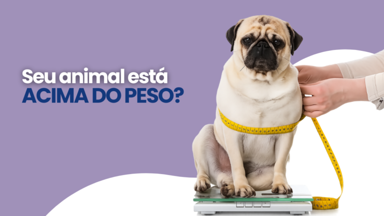 Seu Animal Está Acima do Peso? Descubra os Riscos da Obesidade e Como Ajudá-lo a Viver Melhor