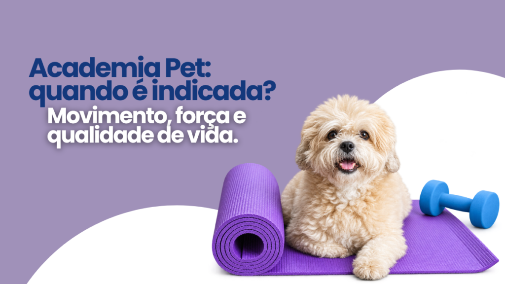 Academia Pet: Quando é Indicada? Como o Exercício Melhora a Saúde e a Qualidade de Vida dos Animais