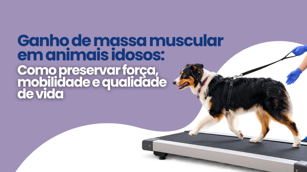 Ganho de Massa Muscular em Animais Idosos: Como Preservar Força, Mobilidade e Qualidade de Vida