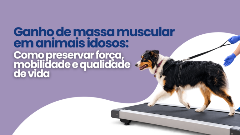 Ganho de Massa Muscular em Animais Idosos: Como Preservar Força, Mobilidade e Qualidade de Vida