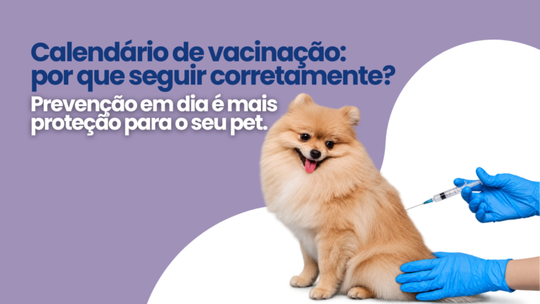 Calendário Profilático: por que seguir? Entenda os cuidados preventivos para a saúde dos animais