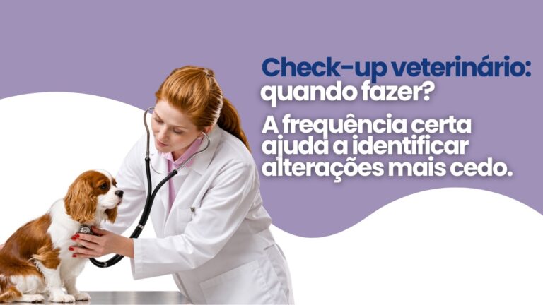 Check-up veterinário anual realmente é necessário? Entenda quando seu animal precisa de avaliação