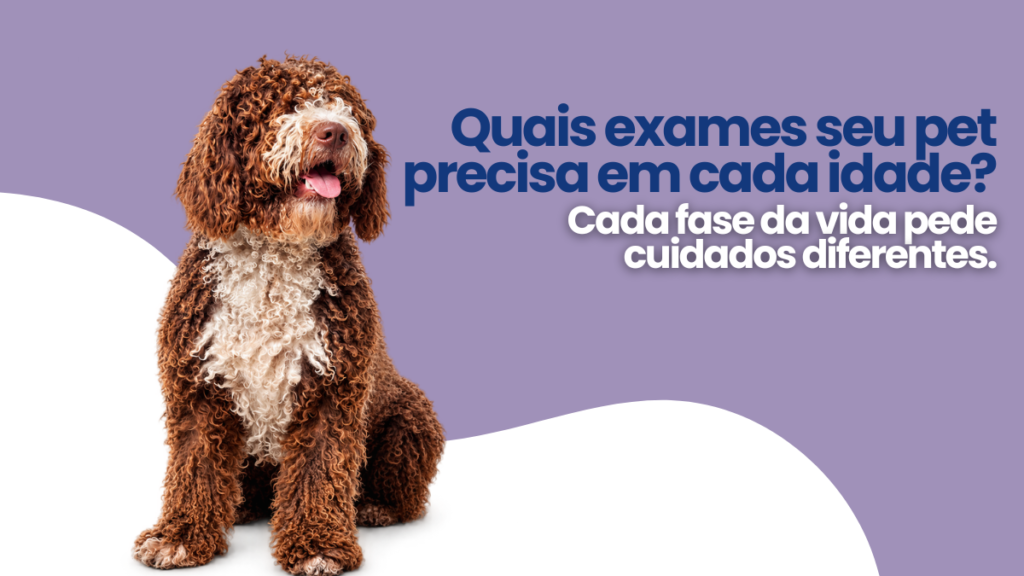 Exames preventivos por faixa etária: quais exames seu animal precisa em cada fase da vida?