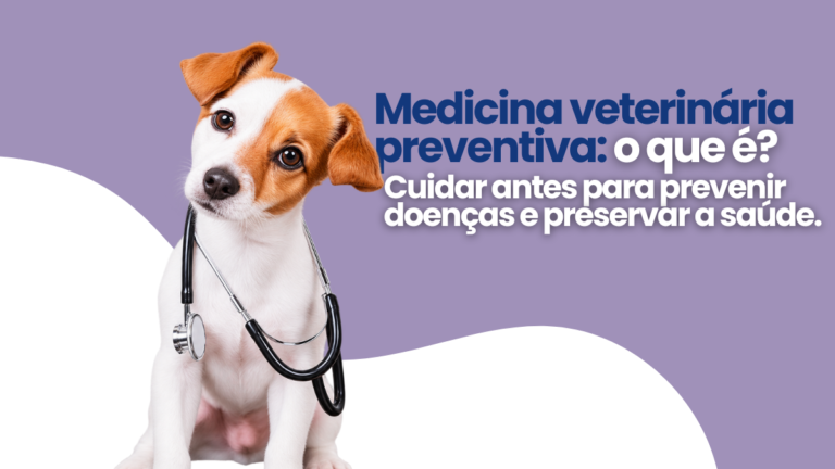 O que é Medicina Veterinária Preventiva? Entenda Como Prevenir Doenças nos Animais